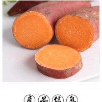 西瓜紅薯批發基地 基地直發價格低